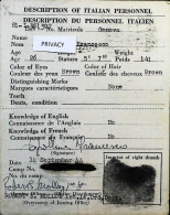 WW2 – 1944 Identification Card - Carte D'Identité - Italian Personnel - S2089 - Documents