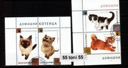 2013 Fauna - Pet Kittens  4v. - Used  (O) BULGARIA / Bulgarie - Usati