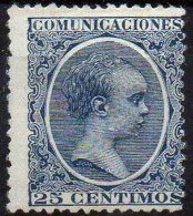 España Nº 221. Año 1889-1901 - Unused Stamps