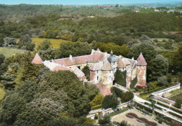 TREIGNY, VUE AERIENNE DU CHATEAU COULEUR REF 8113 POU - Treigny