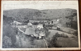 Mullerthal Promenade M - Müllerthal