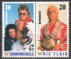 Shawn Michaels Ric Flair WWF World Wrestling Federation BRAVO Germany LABEL CINDERELLA VIGNETTE Sport TV - Lotta