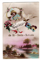 Souvenir De St DENIS BOVESSE - La Bruyère