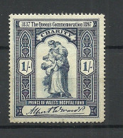 GREAT Britain 1897 Prince Of Wales Hospital Fund Vignette Charity Stamp * - Cinderelas