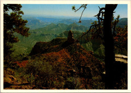 North Rim Of The Grand Canyon Of The Colorado - USA National Parks