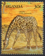 UGANDA 1998 - 1v - MNH - Giraffes Giraffe Girafes Giraffen Girafe Giraffe Jirafa Jirafas - Mammals - Fauna - Giraffes