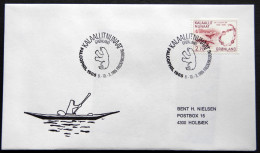 Greenland 1985 SPECIAL POSTMARKS. FALCOPHIL 1985. 8-10-3- FREDERIKSBERG  ( Lot 915) - Covers & Documents