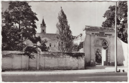 Theresienfeld - Landesberufsschule Des Handels - 'Schulgebäude Mit Eingang' - (NÖ, Österreich) - Wiener Neustadt