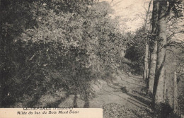 Quimperlé * Allée Du Bas Du Bois Mont Désir - Quimperlé