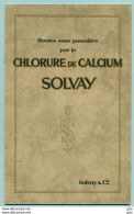 Livret De Solvay ( Chlorure De Calcium Pour Les Routes ) Non Daté - Opere Pubbliche