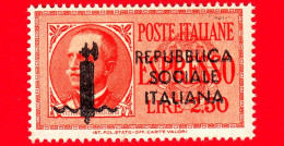 Nuovo - MNH - ITALIA - Rep. Sociale - 1944 - Vittorio Emanuele III Soprastampato - ESPRESSI - Entro Un Ovale - 2.50 - Poste Exprèsse