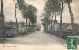 Dornecy * Route De L'entrée Du Bourg * Côté Ouest - Autres & Non Classés