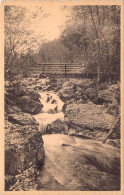 BELGIQUE - SPA - La Hoegne - Le Pont Des Forestiers - Carte Postale Ancienne - Spa