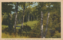 The Haunted Woods, "Green Gables" Cavendish, Prince Edward Island National Park - Other & Unclassified