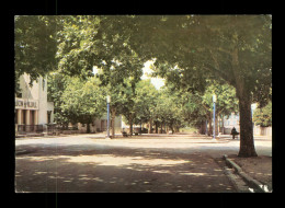 83 Var Saint Zacharie Boulevard De La Liberation Et La Maison Du Peuple - Saint-Zacharie