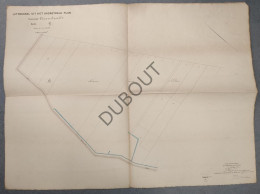 Ossendrecht/Woensdrecht - Kadastraal Plan - 1918 - De Nieuwe Zuid Polder (P356) - Manuscrits