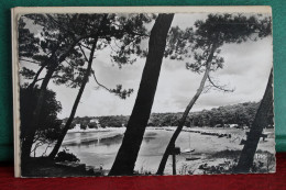VAUX  SUR  MER         -             LA  PLAGE  DE  NAUZAN     1957 - Vaux-sur-Mer