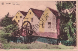 Postkaart/Carte Postale - Maaseik - Bosmolen (C3869) - Maaseik