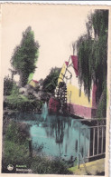 Postkaart/Carte Postale - Maaseik - Boschmolen (C3908) - Maaseik