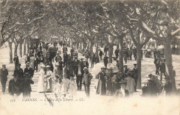 Cannes * L'allée De La Liberté * Promenade - Cannes