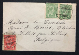 LUXEMBOURG, Circulated Cover From DIEKIRCH To BELGIUM, 1906 - 1906 Guglielmo IV