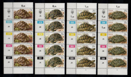 1982 SWA South West Africa Cylinder Blocks Set MNH Thematics Tortoises (SB4-002) - Neufs