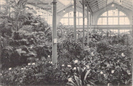BELGIQUE - GAND - Floralies Gantoises 1908 - Hall Des Palmiers - Carte Postale Ancienne - Gent