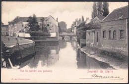 +++ CPA - Souvenir De LIERRE - LIER - Vue Du Marché Aux Poissons  // - Lier