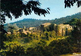 83 - Collobrières - Chartreuse De La Verne - Vue Générale - Collobrieres