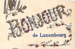 LUXEMBOURG - Bonjour De Luxembourg - Carte Postale Ancienne - Luxemburg - Stad