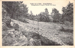 BELGIQUE - Vallée De La Salm - Grand Halleux - Désagréation Et Sapins Rocher De Hourt - Carte Postale Ancienne - Other & Unclassified