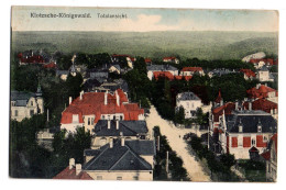 Allemagne--DRESDEN --1913-- Klotzsche Königswald --Totalansicht ....colorisée ...timbre...cachet - Dresden