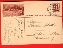 HA2-22 Entier Postal Ganzsache Helvetia 10 Rp. Schwimmbad Adelboden Gelaufen Horgen 1943 - Entiers Postaux