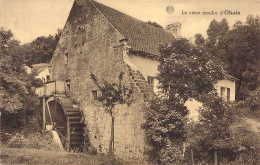 BELGIQUE - D'OHAIN - Le Vieux Moulin - Carte Postale Ancienne - Andere & Zonder Classificatie