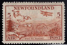 Newfoundland (1933) 5c Airmail. Scott C13. MH - Fine Di Catalogo (Back Of Book)