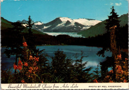 Alaska Juneau Mendenhall Glacier From Auke Lake  - Juneau