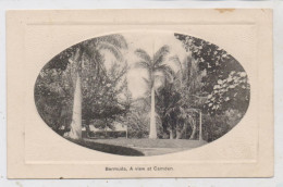 BERMUDA, A View At Camden, 1918 - Bermudes