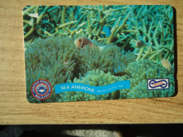 MALAYSIA USED CARDS FISHES MARINE LIFE - Poissons