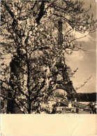 CPM PARIS 16e - Tour Eiffel Vue Des Jardins De Chaillot Monier (83501) - Tour Eiffel