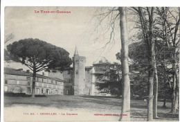 82   Grisolles  - Le Chateau - Grisolles