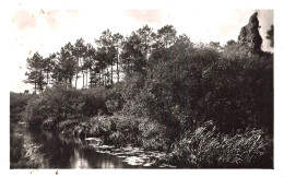 SAINT-JEAN-BRÉVELAY - La CLAYE Et Le ROC JOSSIN - L'Aigle Blessé Du Quenhouet - Saint Jean Brevelay