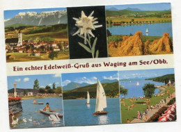 AK 131156 GERMANY - Waging Am See / Obb. - Waging