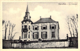 BELGIQUE - ORP LE PETIT - Le Château - Carte Postale Ancienne - Other & Unclassified