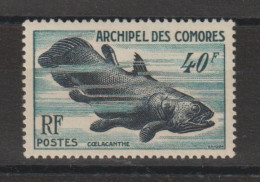 Comores 1954 Faune Marine 13, 1 Val * Charnière MH - Nuovi