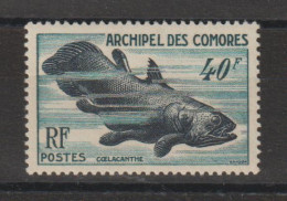 Comores 1954 Faune Marine 13, 1 Val * Charnière MH - Unused Stamps
