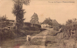 BELGIQUE - FRANCORCHAMPS - Paysage Des Fagnes - Mouton - Carte Postale Ancienne - Autres & Non Classés