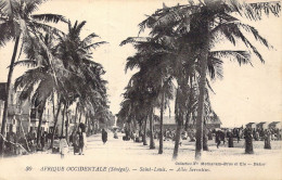 SENEGAL - Afrique Occidentale - Saint-Louis - Allée Servatius - Carte Postale Ancienne - Sénégal