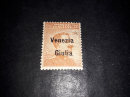 05AL35 REGNO D'ITALIA TERRE REDENTE VENEZIA GIULIA 20 CENT. 1918"X" - Venezia Giulia