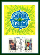 Carte Maximum Europa 1975 Allemagne Germany Yv. N° 689 690 (voir !) - 1975