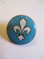 Petit Insigne à épingle  /Fleurs De Lys  Blanche Stylisée / Bronze Cloisonné émaillé/Vers 1930-1950     INS98 - Altri & Non Classificati